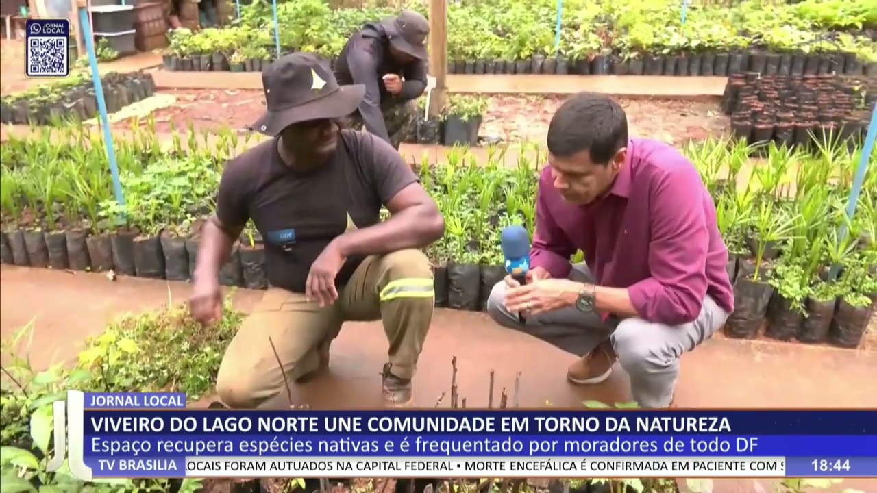 JL - Viveiro do Lago norte une comunidade em torno da natureza