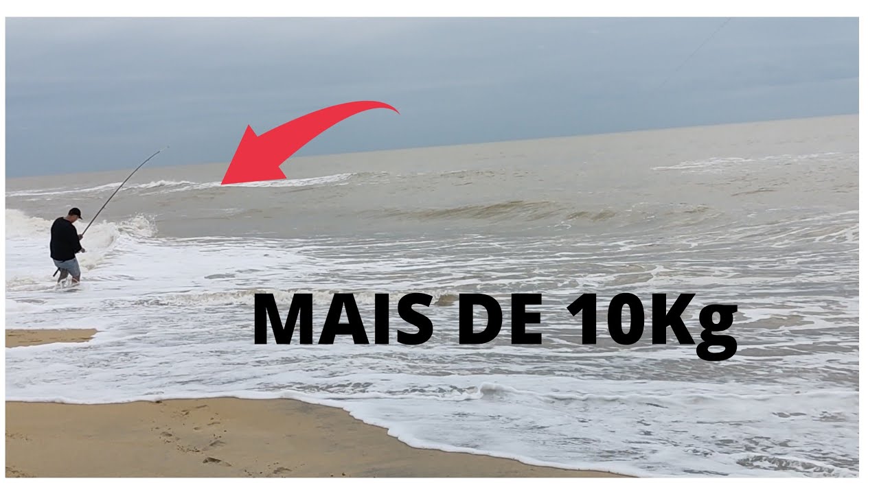 Esse deu trabalho!Mais de 10kg/Pescaria de praia #pescaria #praia #pescadepraia #pescaemfamilia