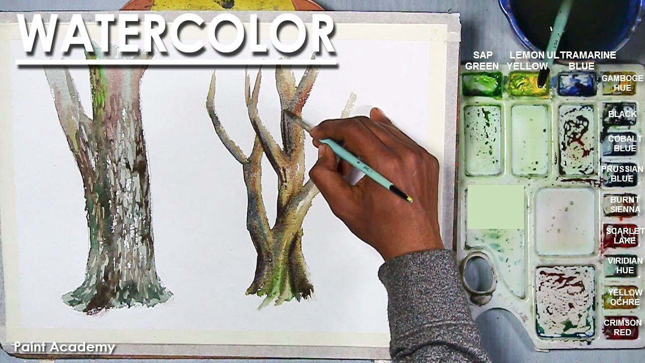 How to Paint Different Tree Stems in Watercolor