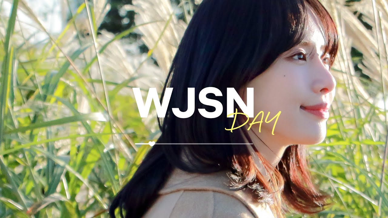 [Playlist] 우주소녀 노래모음 (DAY Ver.)