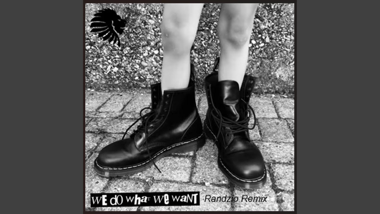 We Do What We Want (Randzio Remix)