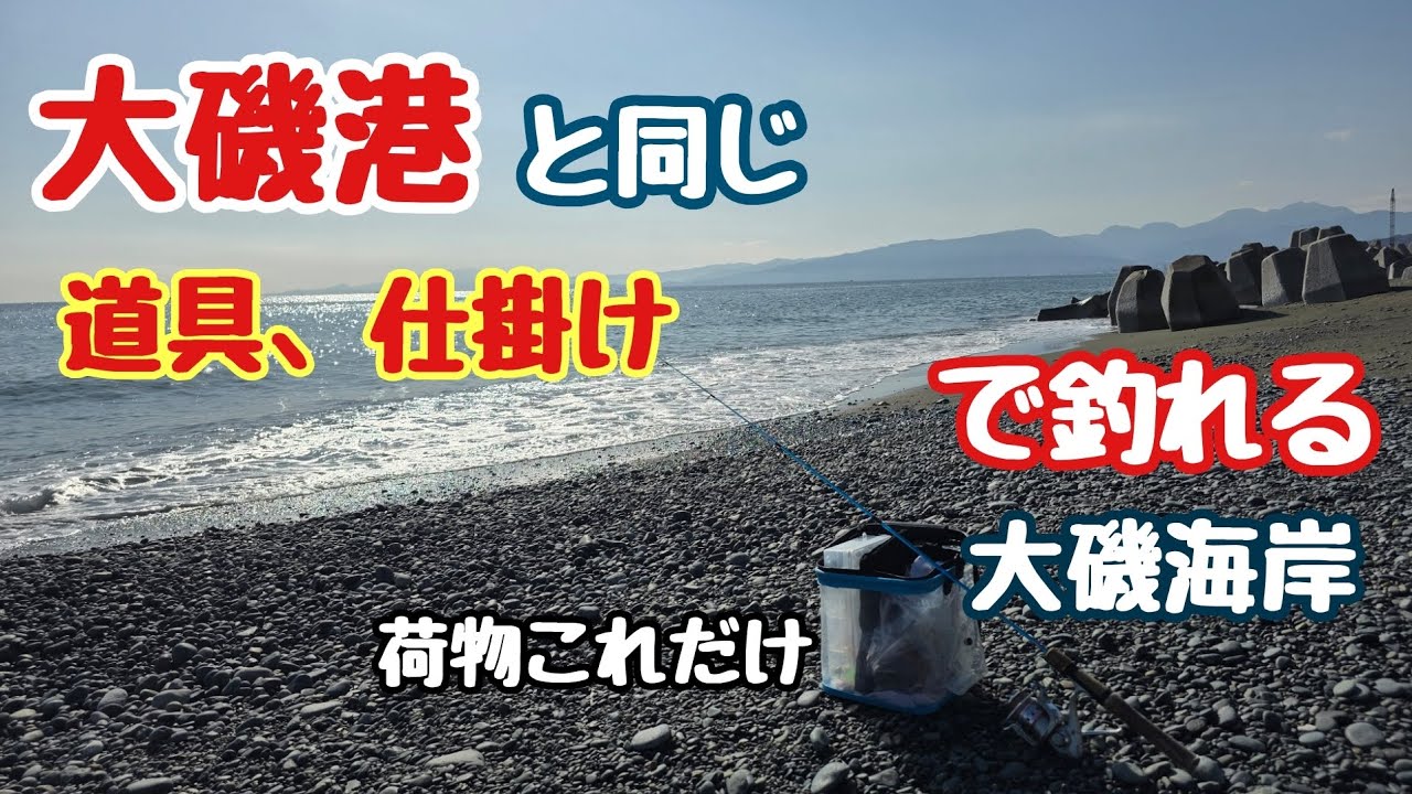 【大磯港と同じ道具、仕掛け】「ちょい投げ」釣れる｜大磯海岸