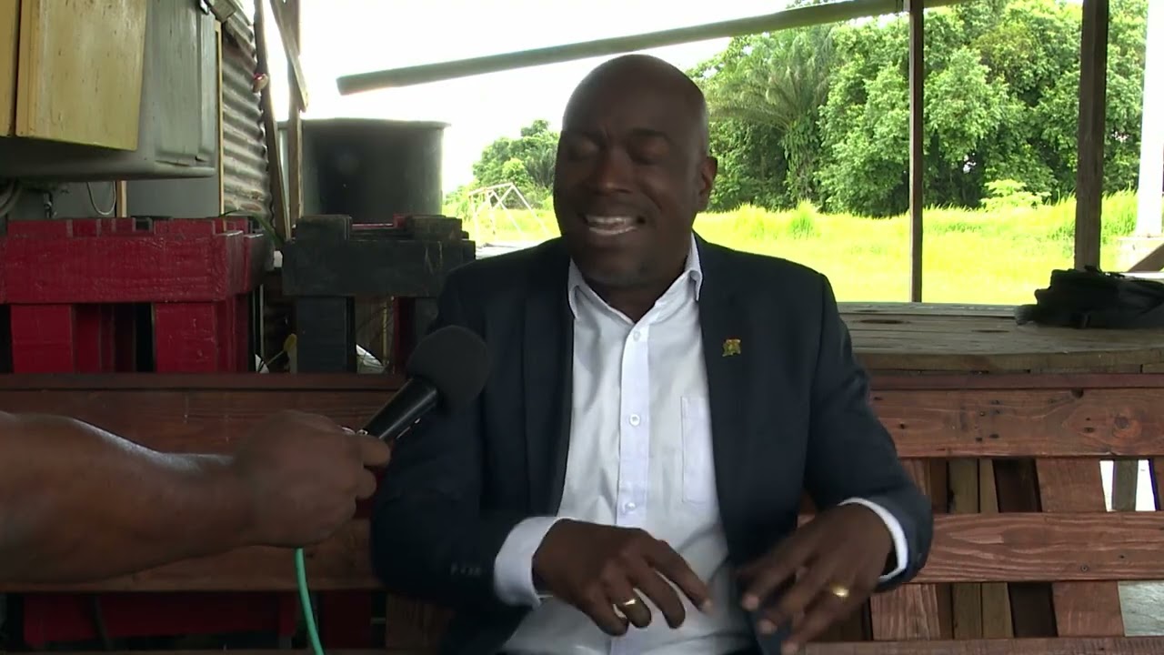 Van Samson over 50 jaar Suriname: ‘We moeten nu echt economisch onafhankelijk worden’ 