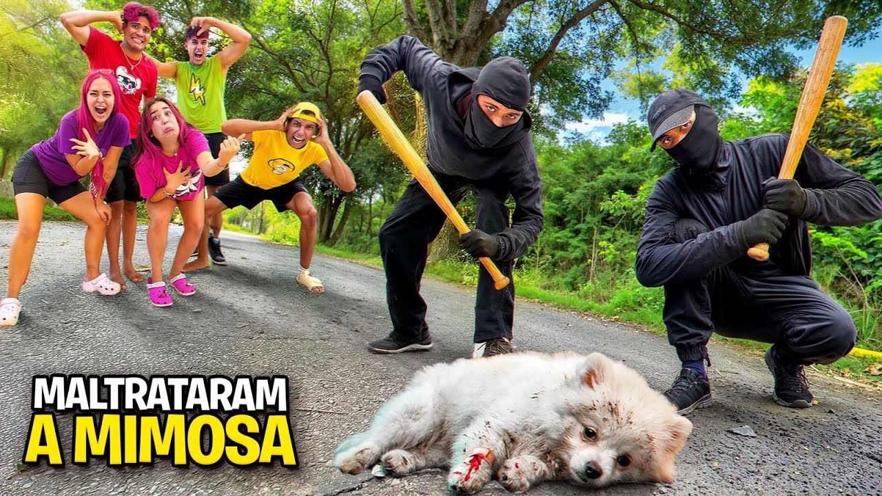 BATERAM NA NOSSA CACHORRINHA *A Mimosa está bem ?