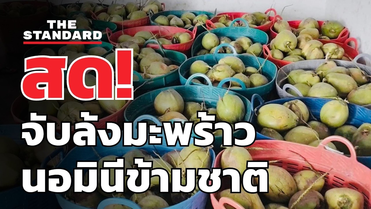 สด! ปฏิบัติการจับเครือข่ายล้งมะพร้าวนอมินีข้ามชาติ | THE STANDARD