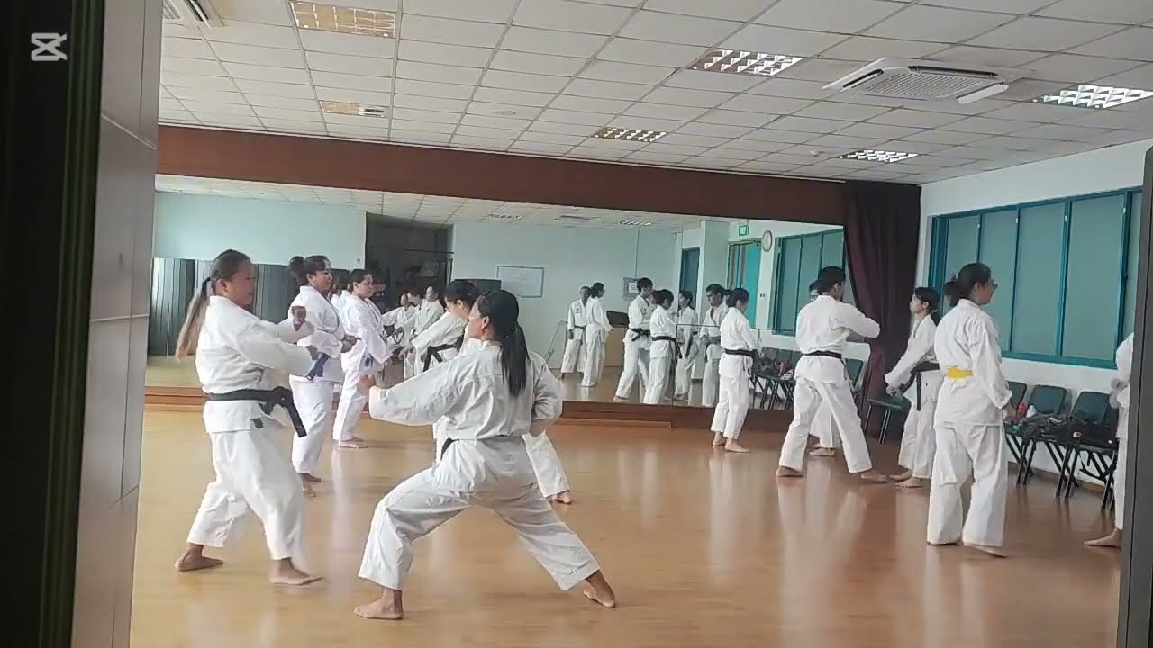 Karate training 
