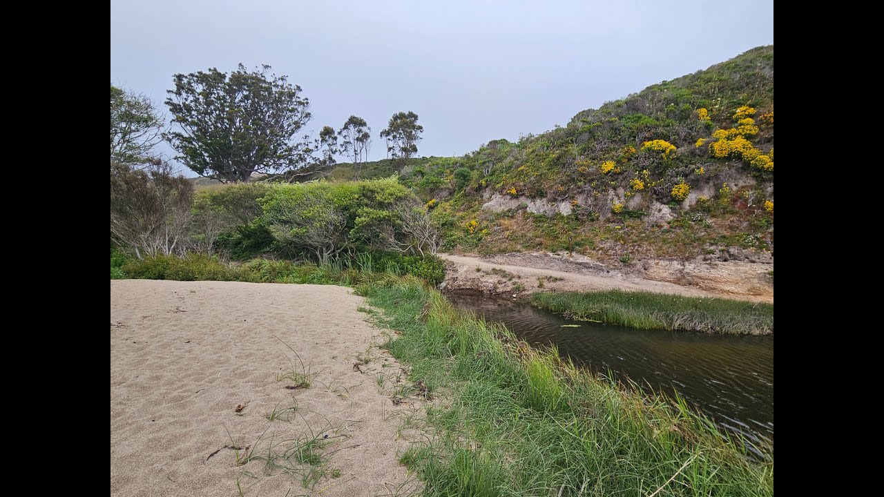 Coast Camp-Point Reyes National Park