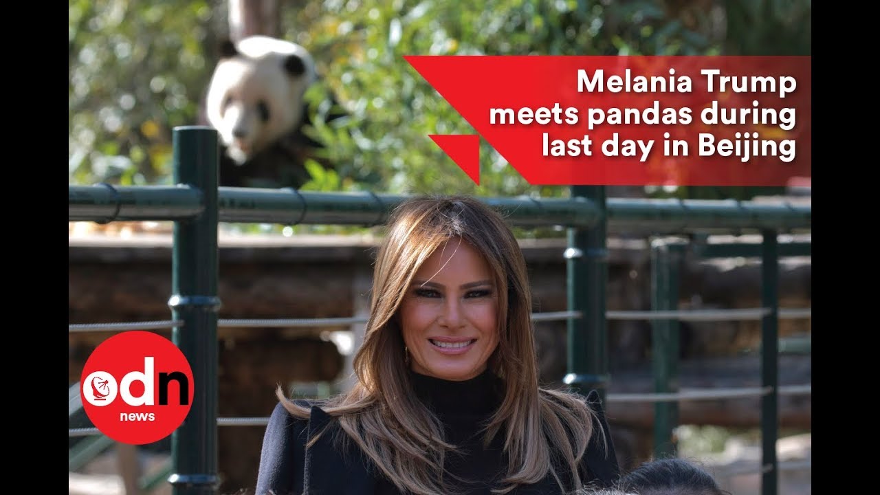 Melania Trump meets pandas during last day in Beijing