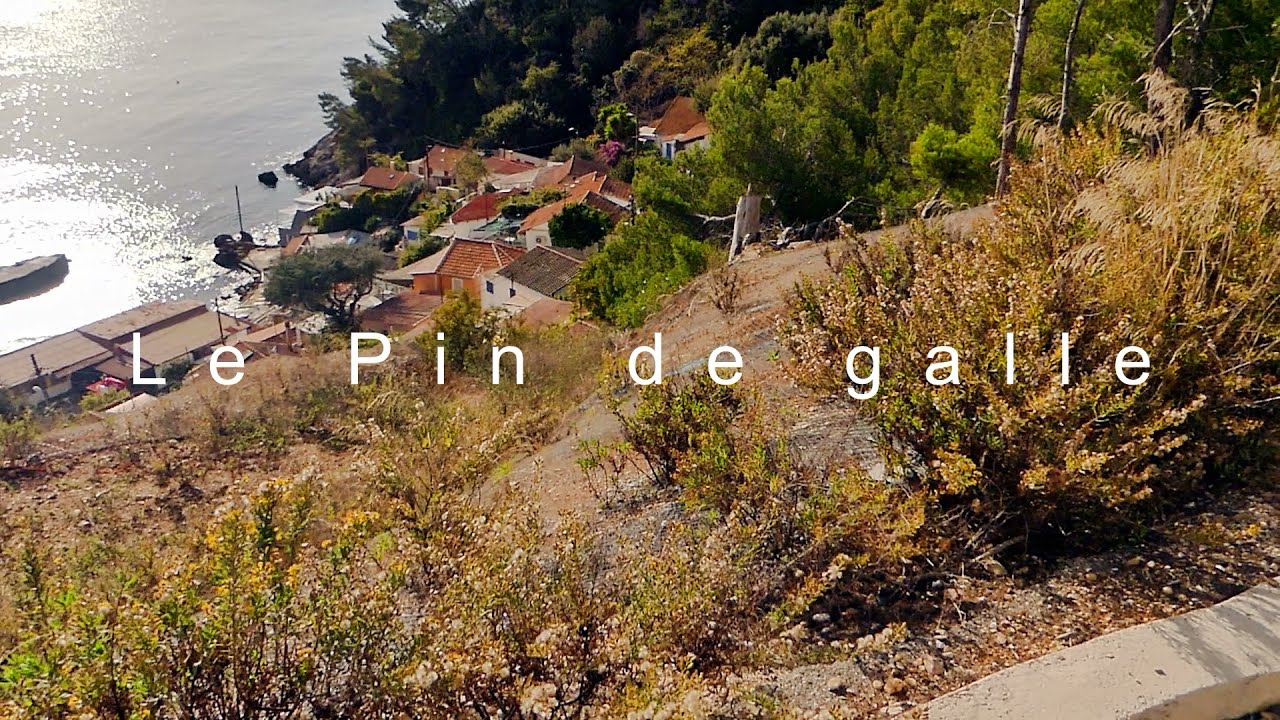 Le Pradet mon petit paradis
