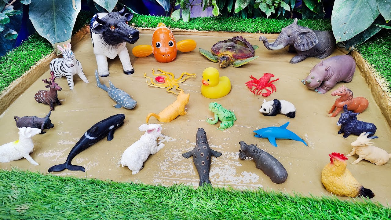 Splashy Safari: Muddy Adventure with Sea and Farm Animals in Mud' Aquatic Jungle Expedition
