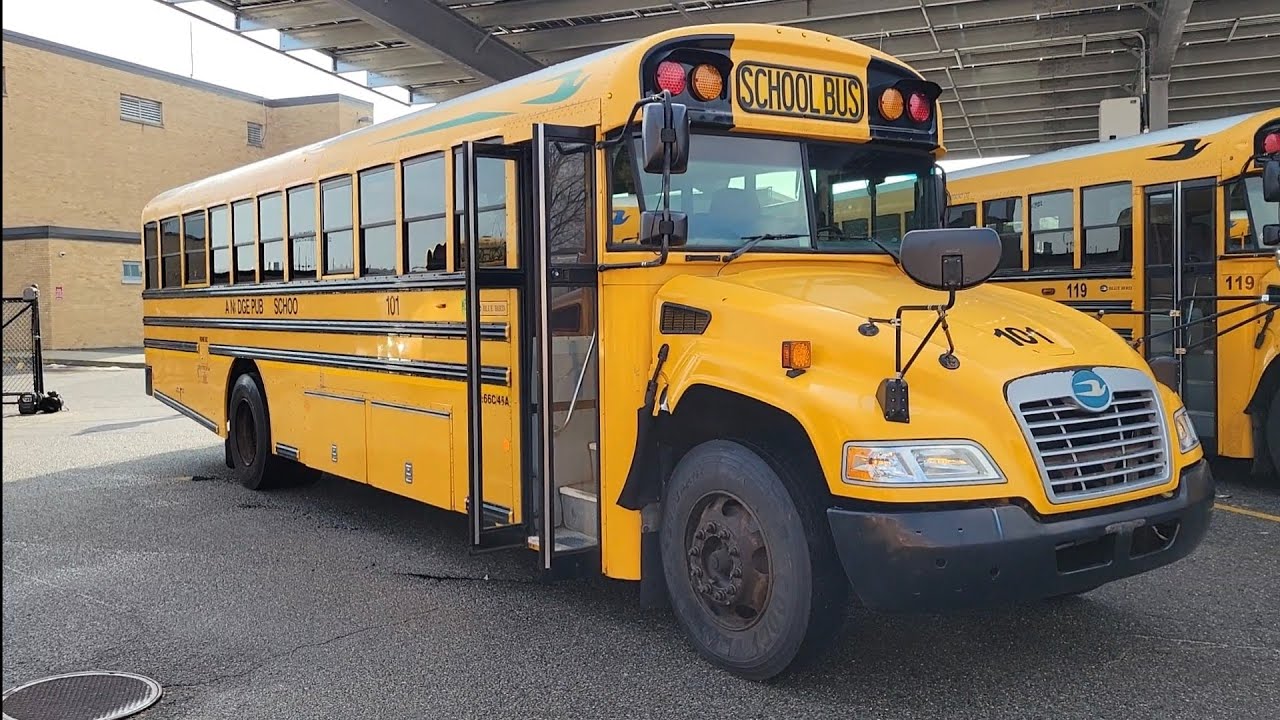 2015 Blue Bird BB Conventional School Bus - Auctions International 