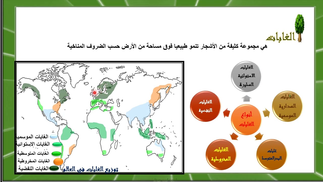 نبات طبيعي ( الجغرافيا العامة /سنة اولي ثانوي )