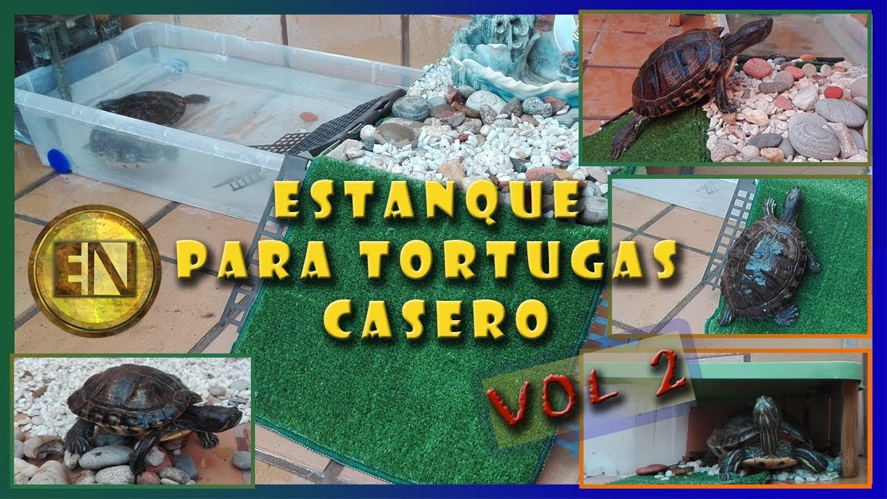 estanque para tortugas casero
