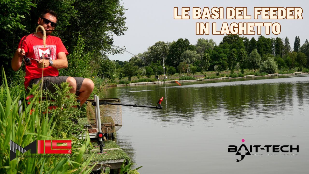 Quali sono le Basi per PESCARE A FEEDER in LAGHETTO le carpe?