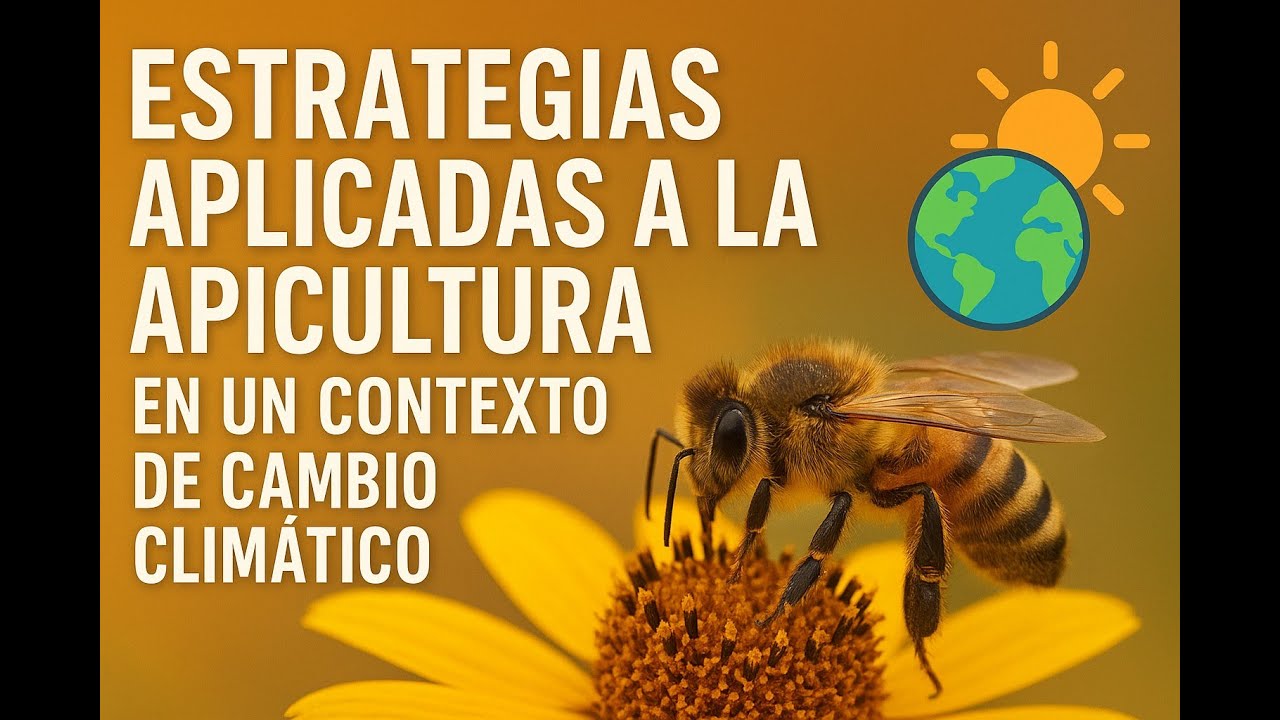 🌍 Estrategias Apícolas Frente al Cambio Climático: Adaptarse para Sobrevivir y Prosperar