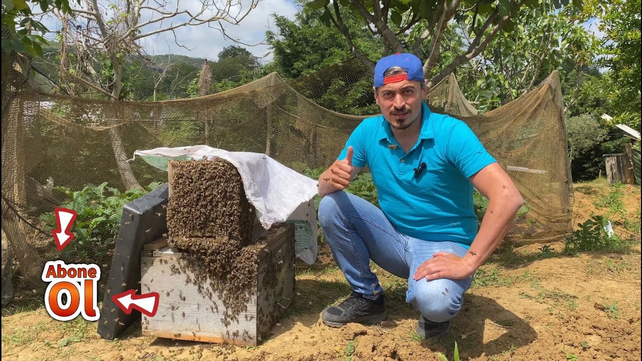 ARI OĞUL YAKALAMA  2024