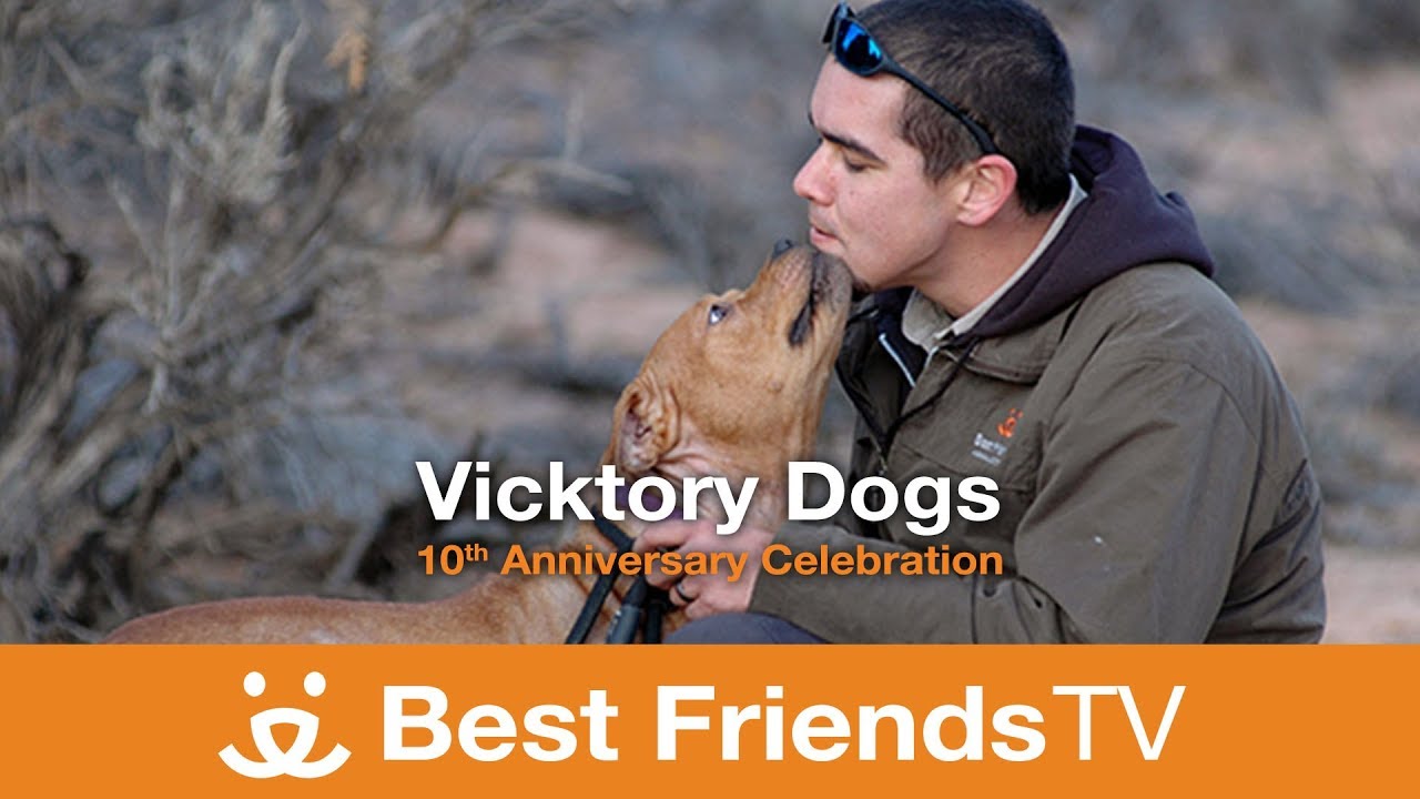 Best Friends TV Episode 20: Vicktory Dogs: 10th Anniversary Celebration