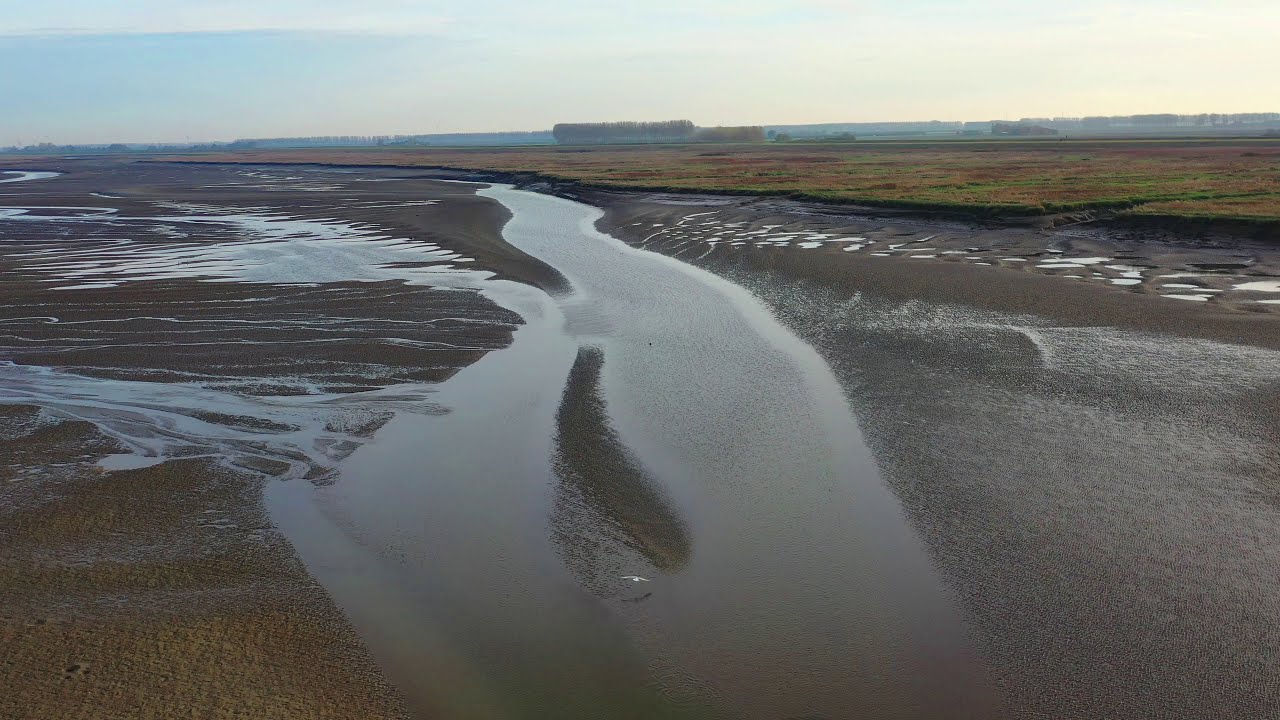 The Drowned land of Saeftinghe