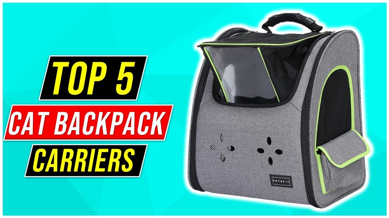 ✅Top 5 Best Cat Backpack Carriers Review In 2022