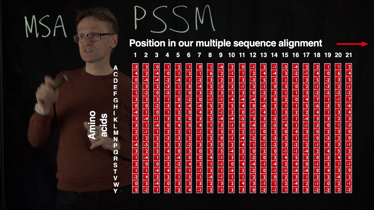 Lecture 11, Concept 19: Position-specific scoring matrices add more biological information
