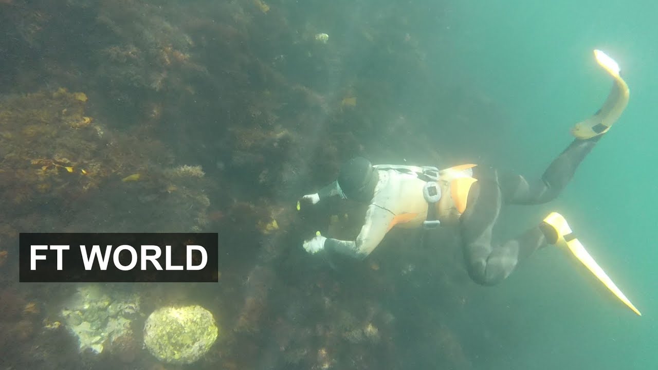 South Korea's elderly haenyeo divers | FT World