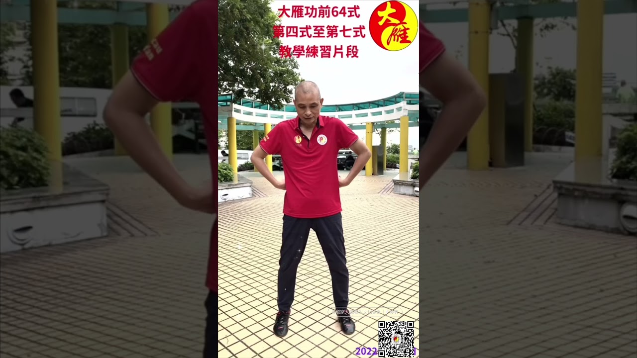 #大雁功前64式  動作粵語講解