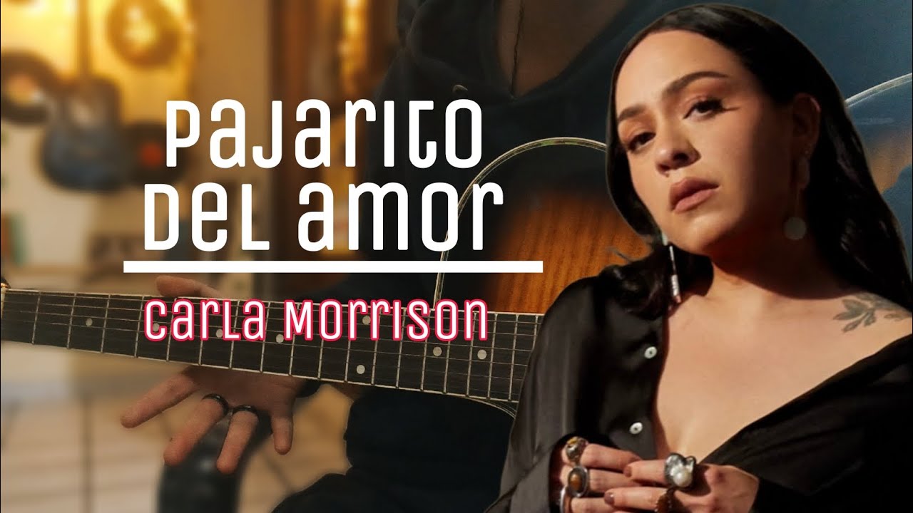 Cómo tocar Pajarito Del Amor - Carla Morrison ft Natalia Lafourcade | Guitarra sin límites