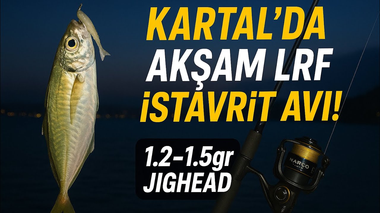 İSTANBUL KARTAL LRF AVI | Lrf aksiyonu nasıl verilir | Hafif gram ile kullandığım silikon yemler