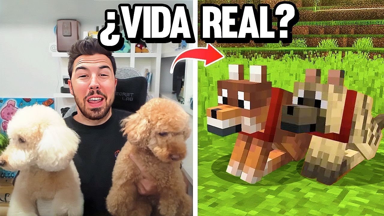 Willyrex Consigue a sus PERROS en Minecraft