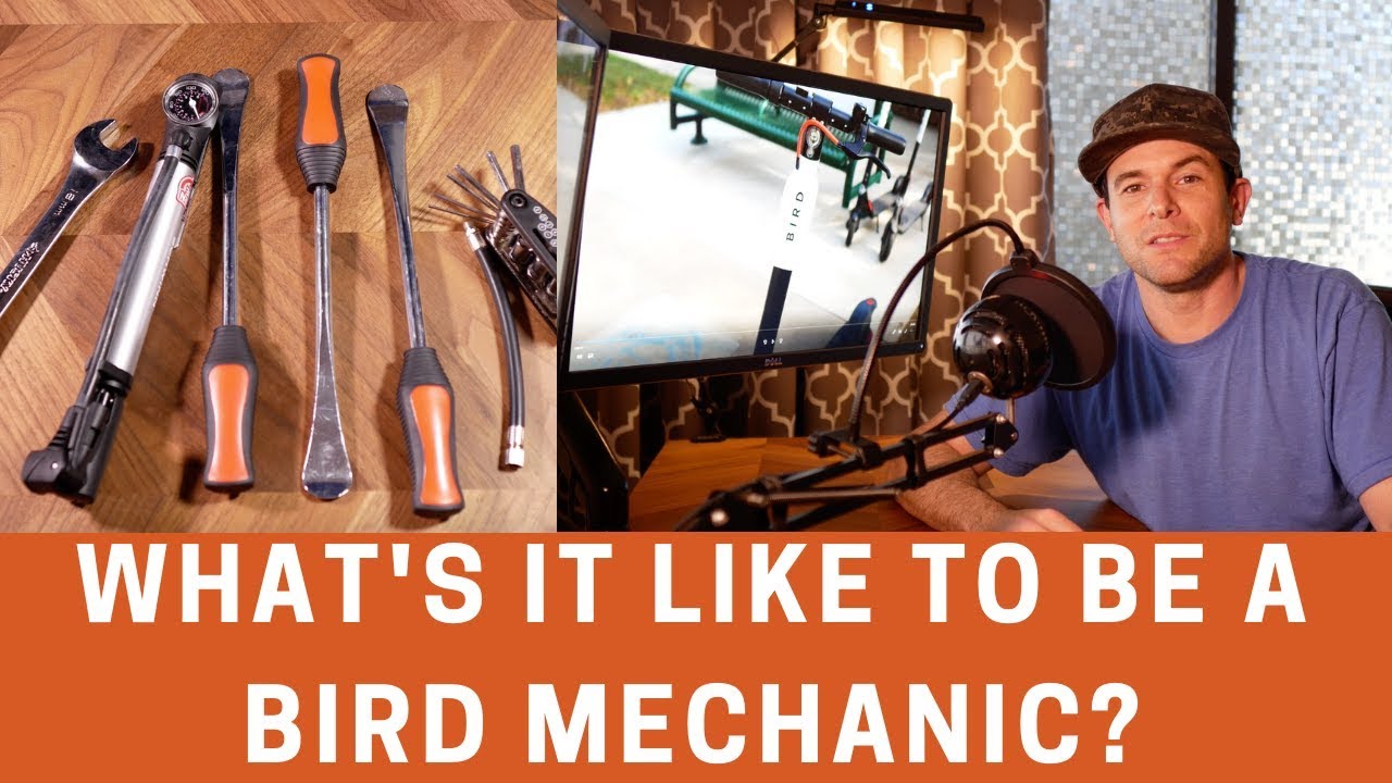What's it Like to Be a Bird Mechanic?
