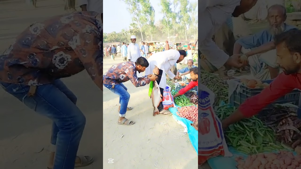 ৩০টা ফানি ভিডিও একসাথে 