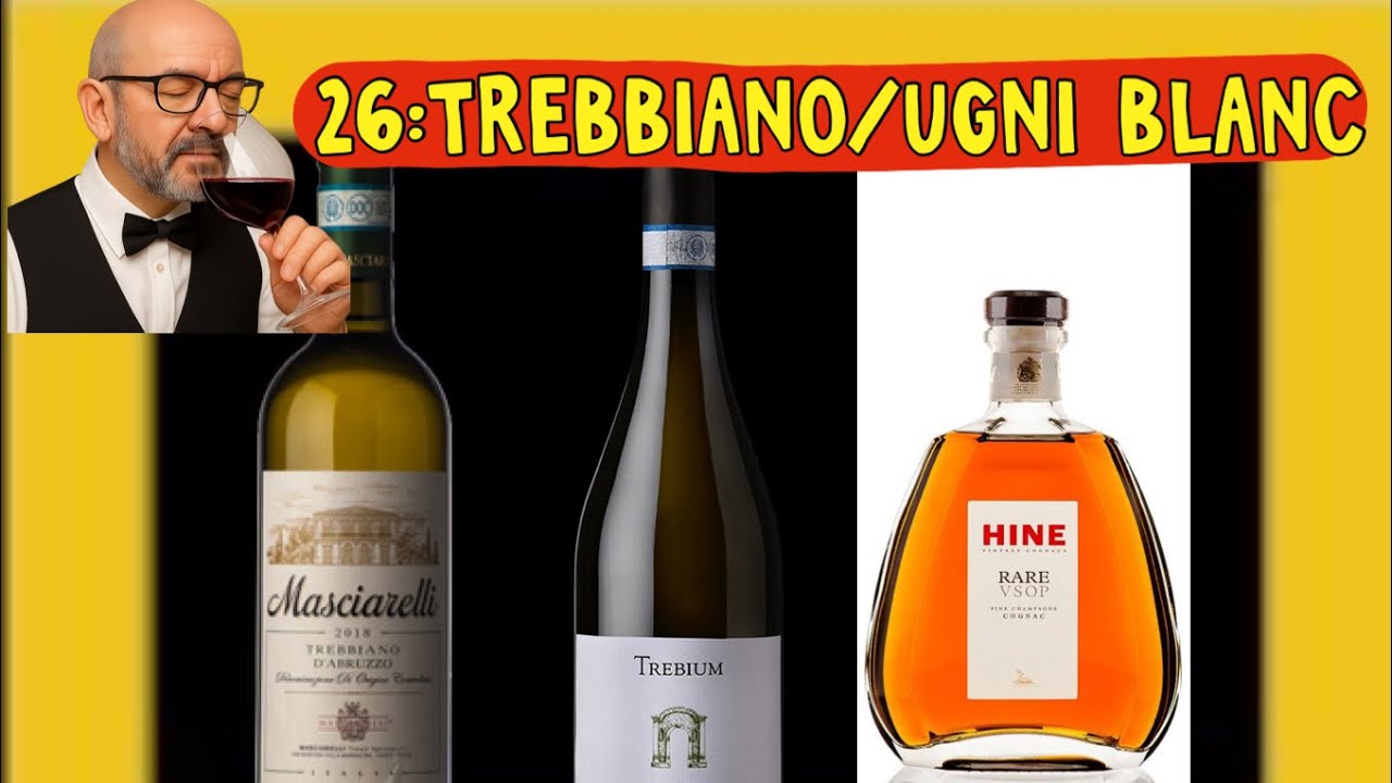 (408)26:Trebbiano/Ugni Blanc