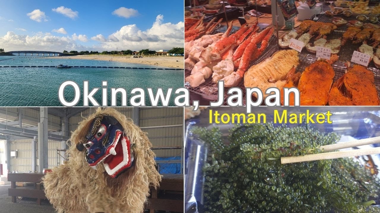 Food Paradise Market & Sunset Beach Near AirportーOkinawa, JAPAN 