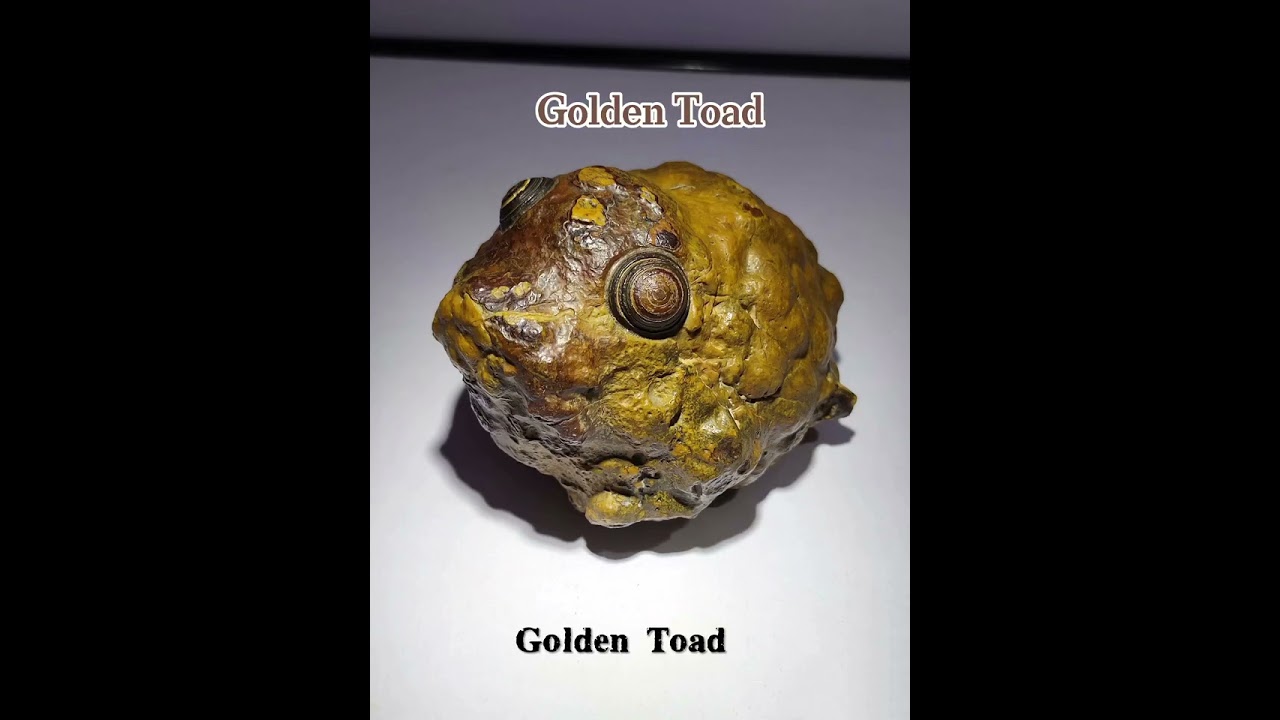 Golden Toad ,Coin stone,Natural rough stone.##rawstone #dzibeads #natural #beads #eyes #toad #stone