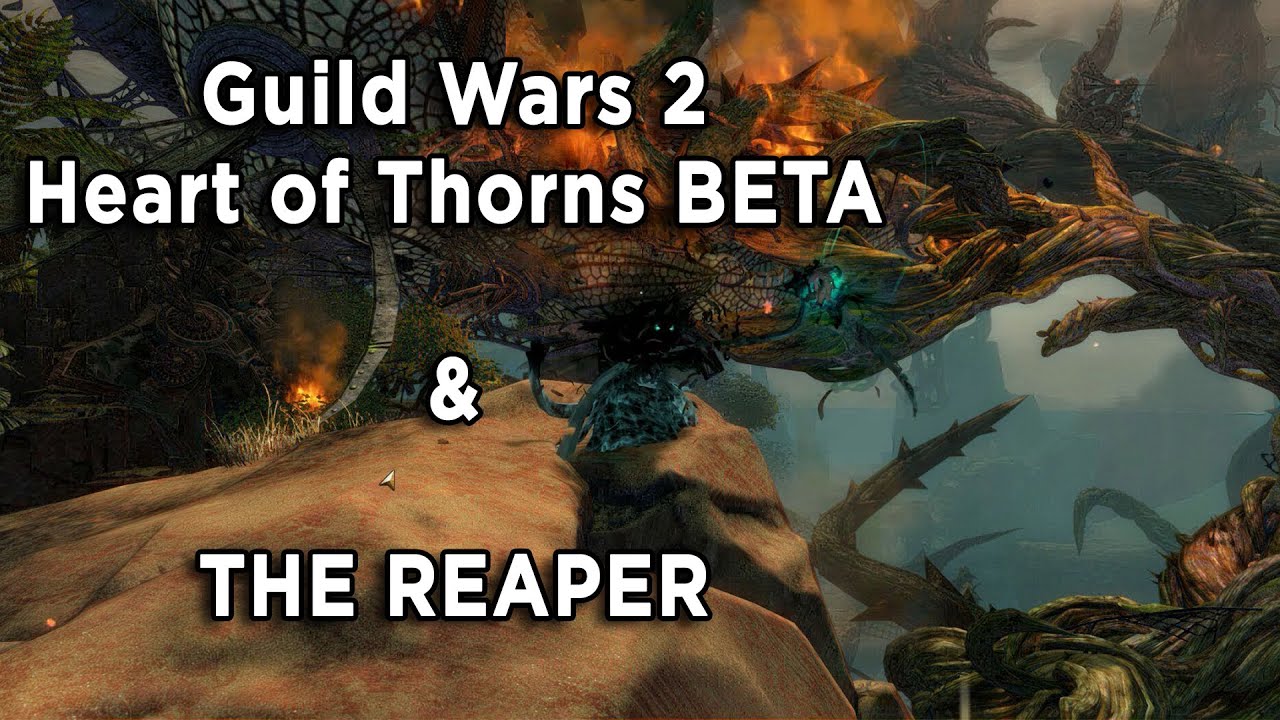 GW2: Heart of Thorns BETA and THE REAPER (analysis & feedback)
