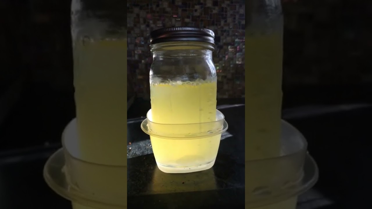 BHO Extraction - Gelato