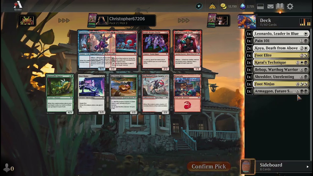 Premier Draft Teenage Mutant Ninja Turtles (Drafting)