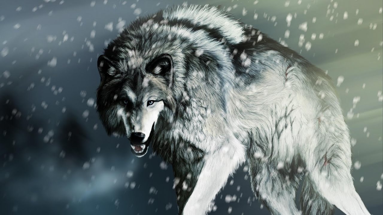 A Real Tough Pack (Subtitulado)