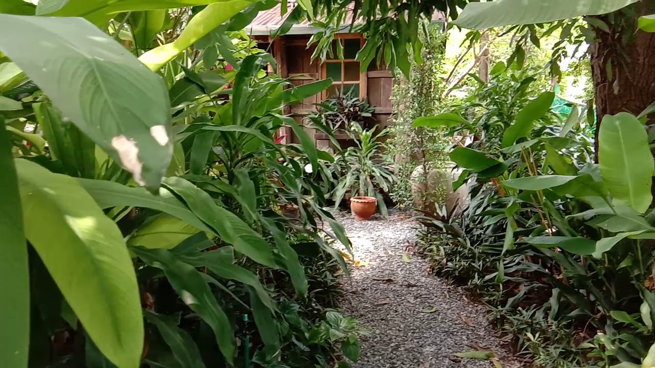 Thailand Tropical Garden
