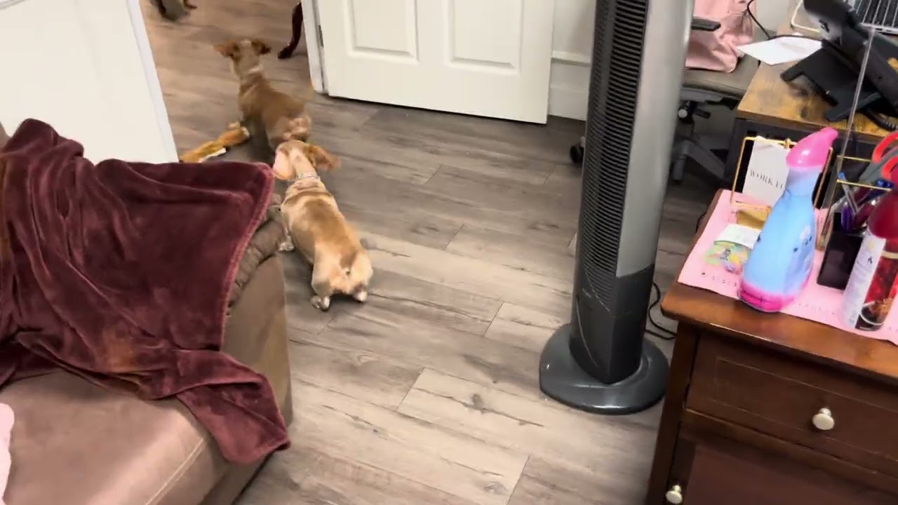 Double teaming the demon sausage 