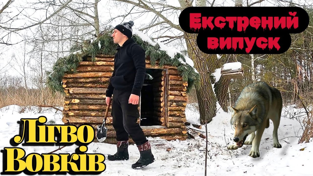 Весна на носі — ліс оживає🌲 Екстрений випуск новин з дикого лісу! 24.02.2026