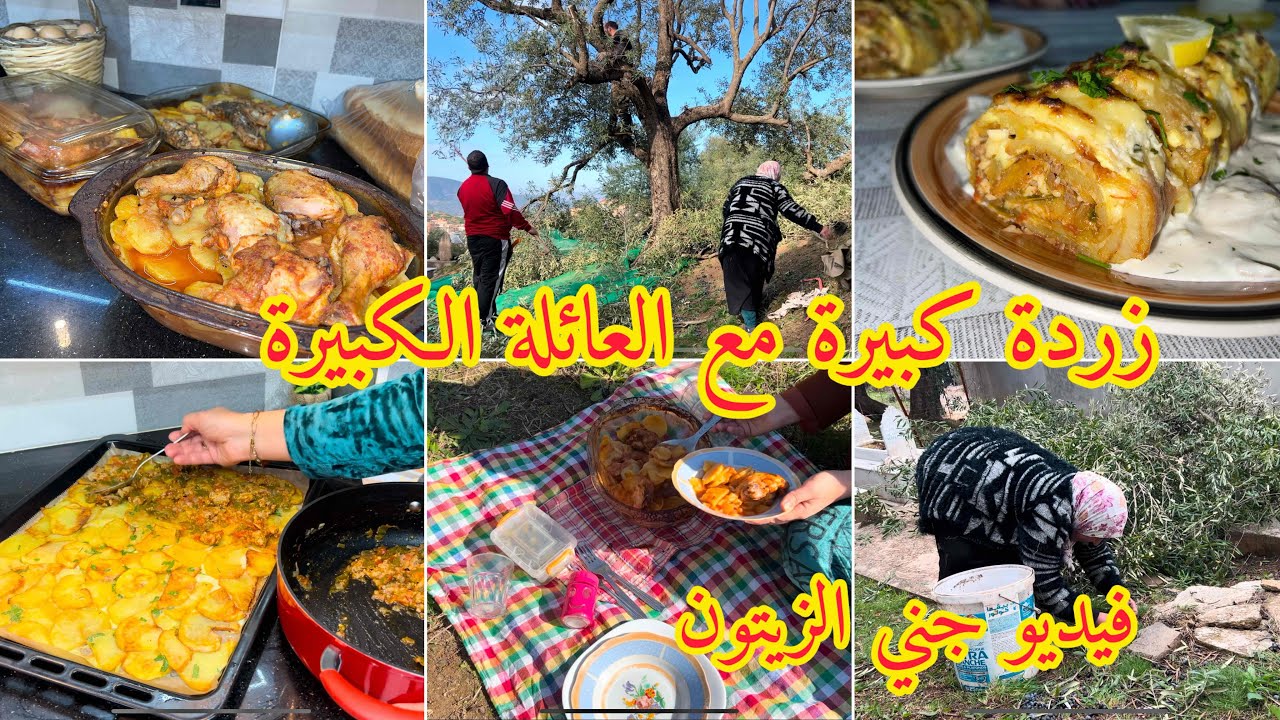 جني زيتون فهاد البرد بزاف صعيب 🫒فطور  فالهواء الطلق مع وصفة رولي البطاطا بزاف هايل 😋