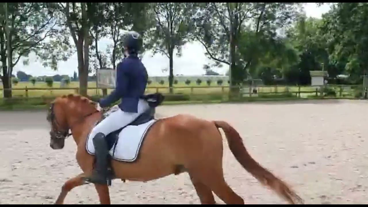 Proef 19 klasse B (onze laatste B proef)