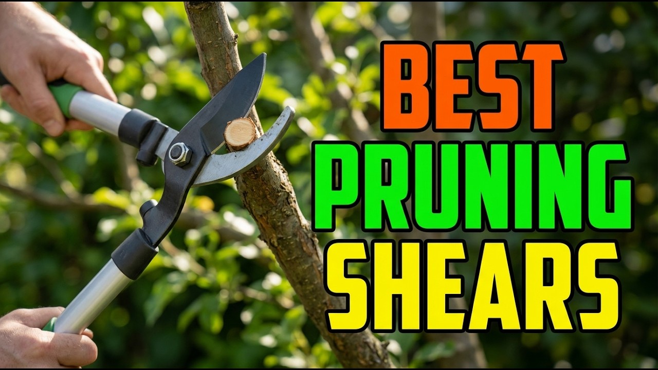 TOP 5 Best Pruning Shears 2026