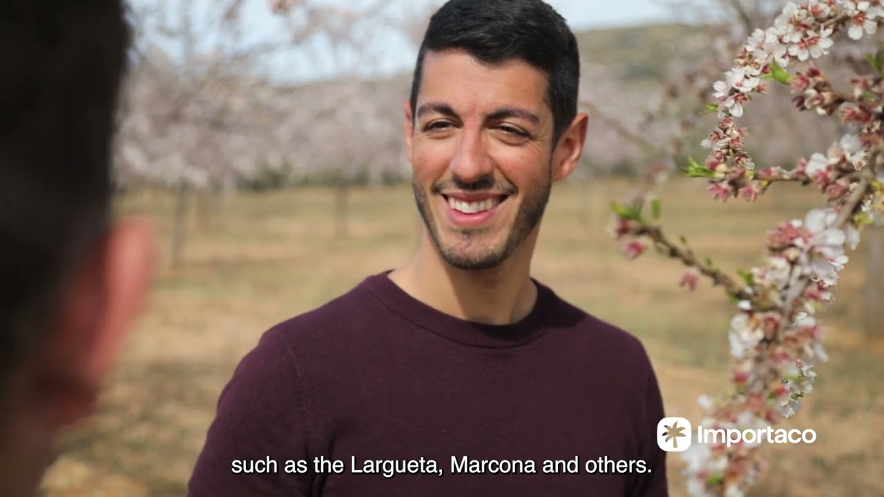 The origin of the almond | Importaco nuts