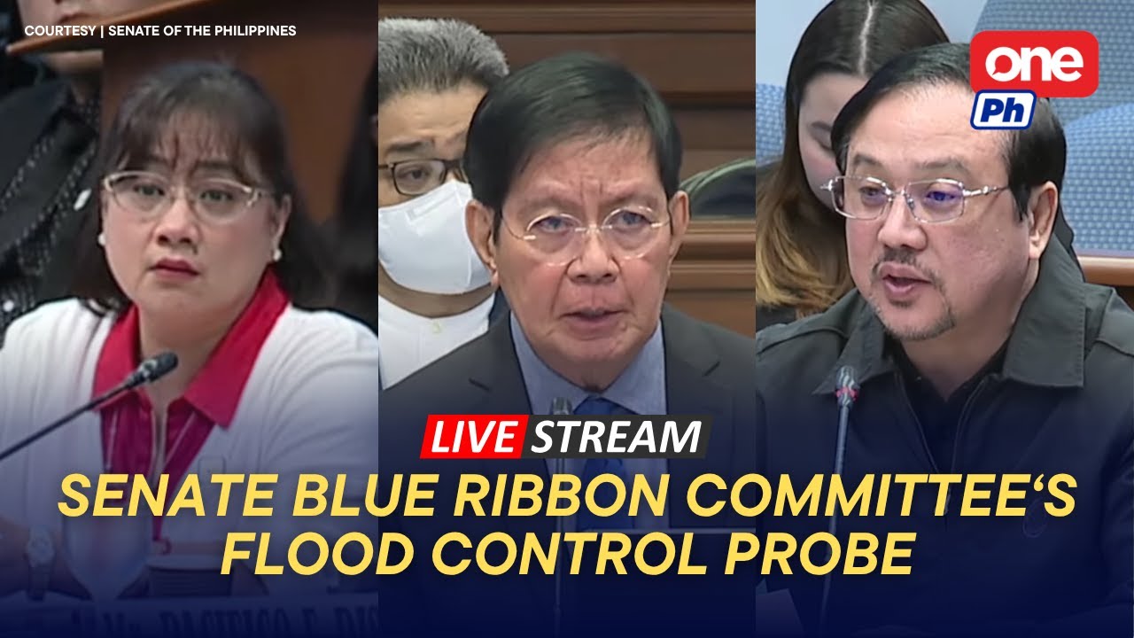 LIVE | Senate Blue Ribbon resumes hearing on flood control projects (November 14, 2025)
