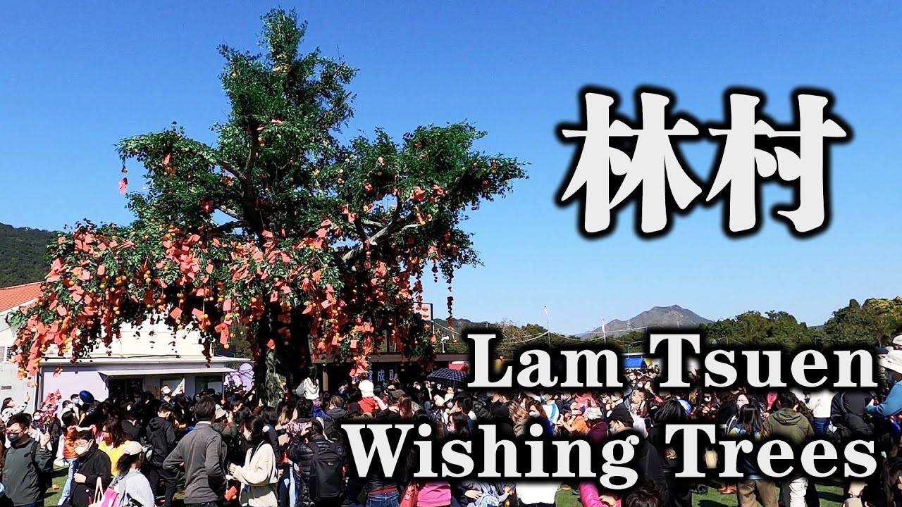 林村、林村許願樹、天后廟 Lam Tsuen、Lam Tsuen Wishing Trees、Tin Hau Temple 【CC繁體中文字幕】