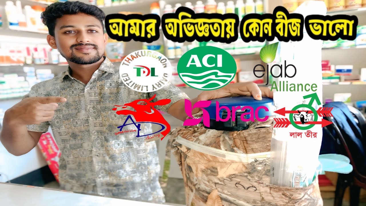 আমার অভিজ্ঞতায় কোন বীজ ভালো ,, Brac ,, AdL ,, Aci ,, Ejab ,, LaLTeer ,, কোন কোম্পানির গরুর বীজ সেরা