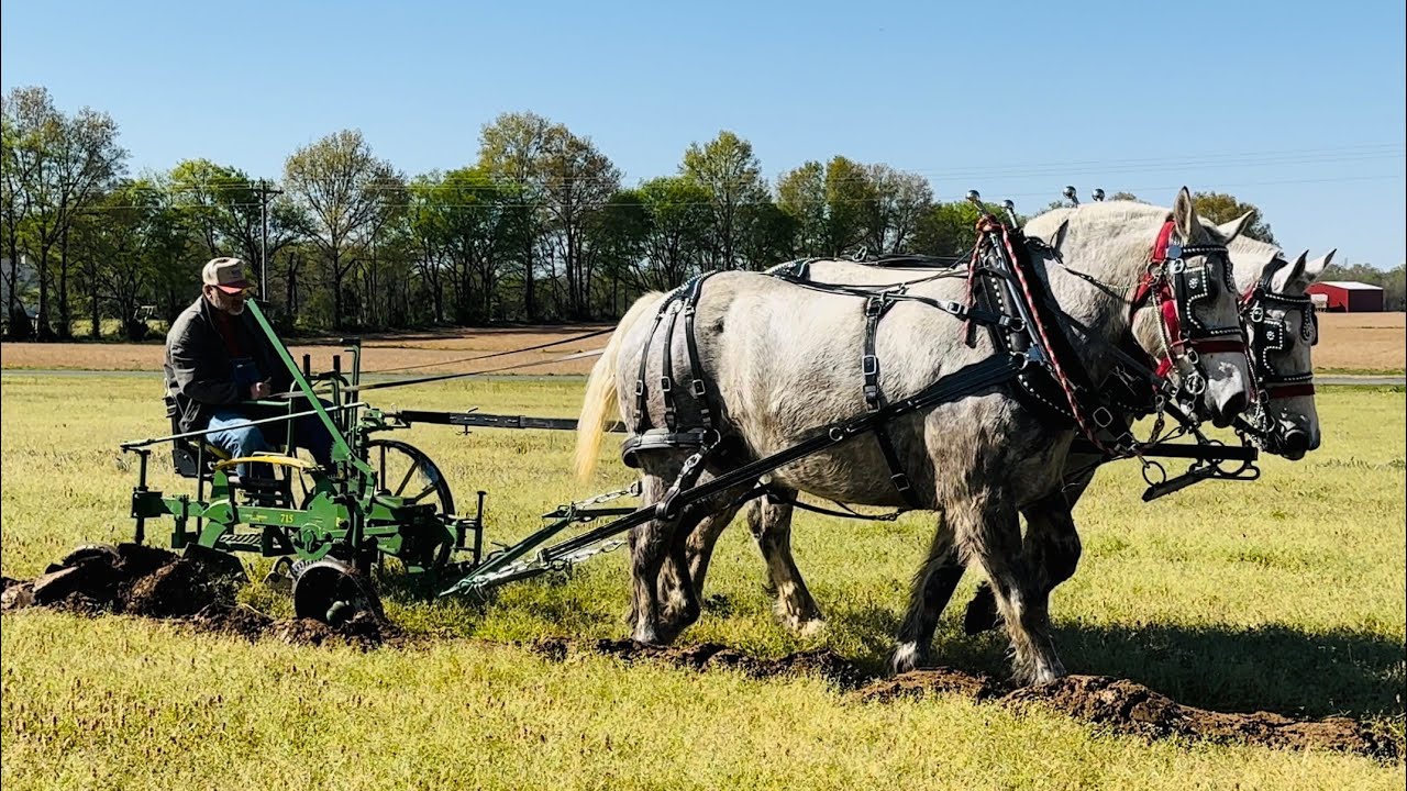 Walking plow tips! Mike Brewington Plow Day 2024 #102