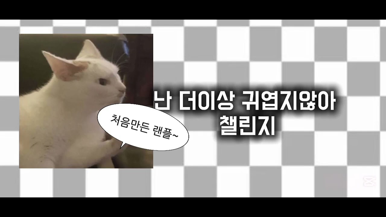 처음 만든 랜덤플레이 댄스!! #틱톡 #랜덤플레이댄스 #떡상